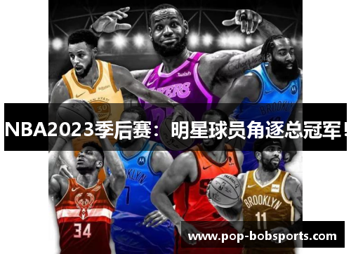 NBA2023季后赛:明星球员角逐总冠军!